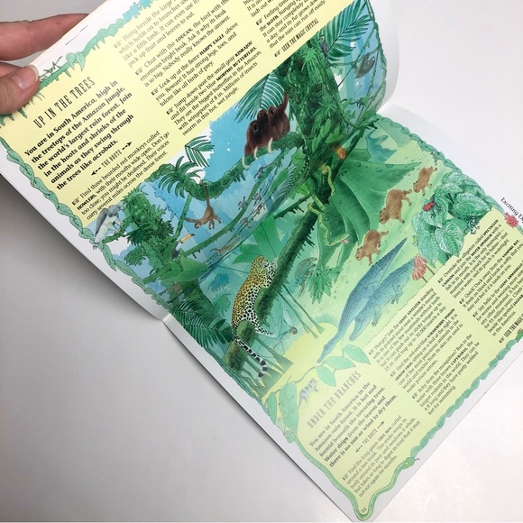 Awesome 90s Vintage Book: The Magic Crystal (A Wildlife Adventure) 1997 Animals - Picture 5 of 6